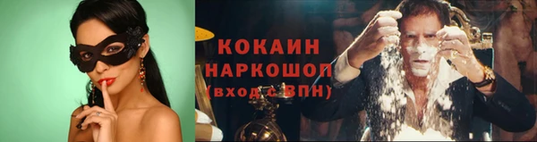 гидра Белоозёрский