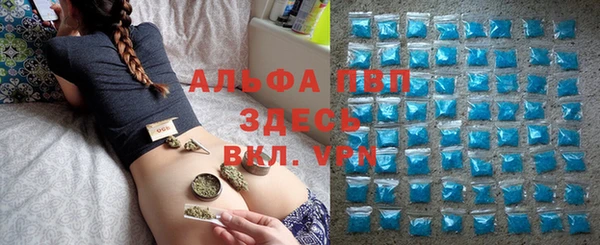 гидра Белоозёрский