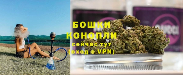 гидра Белоозёрский